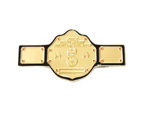 BIG GOLD BELT PIN [BY SUPER]