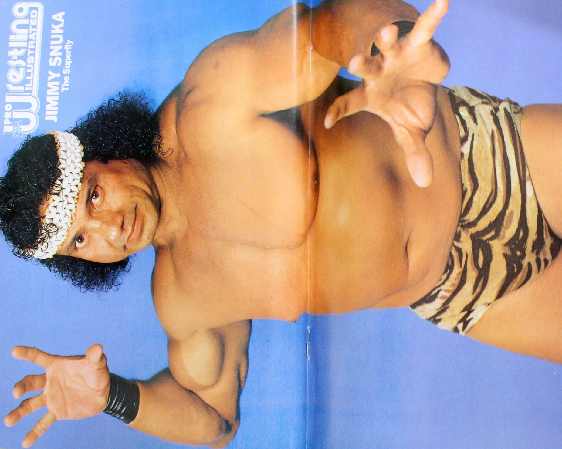 PRO WRESTLING IILLUSTRATED - DECEMBER 1989