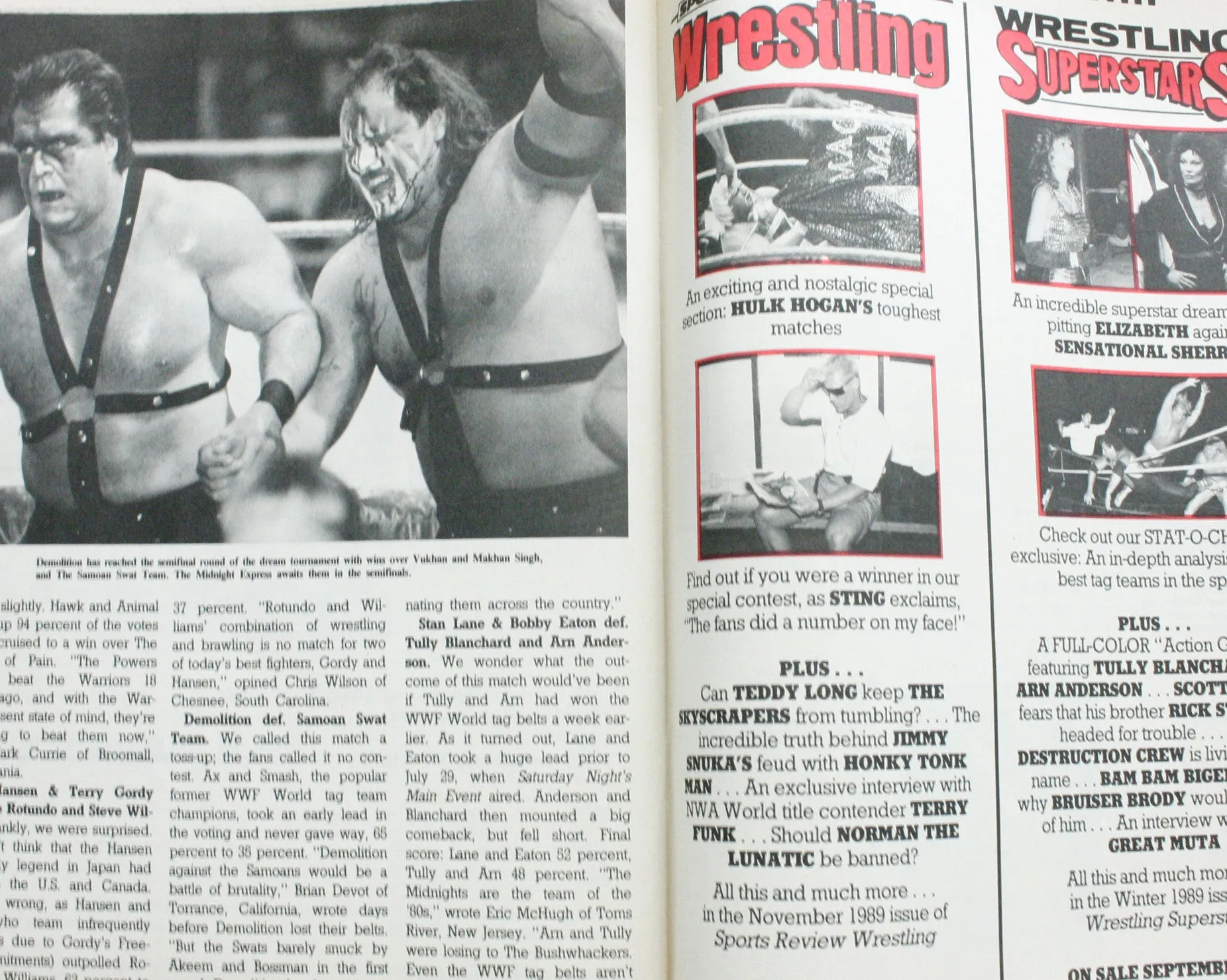 PRO WRESTLING IILLUSTRATED - DECEMBER 1989
